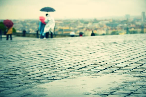 Lluvia — Foto de Stock