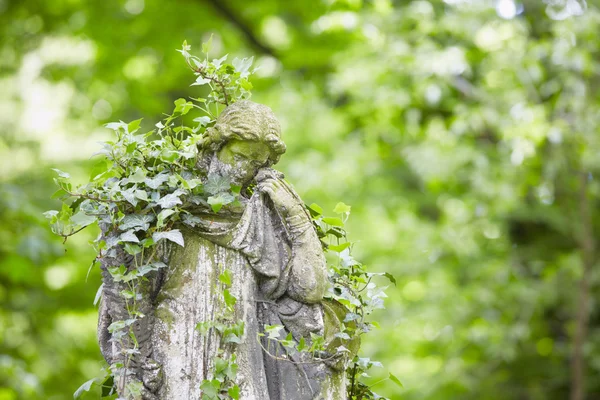 Cemetery — Stock Photo, Image