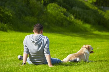 Çayır üzerinde köpek