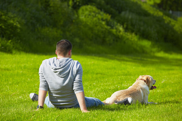 Собака на лугу
