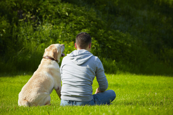 Собака на лугу
