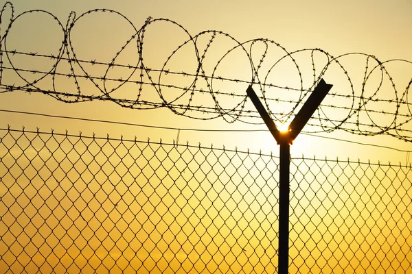 Barbed wire — Stock Photo, Image