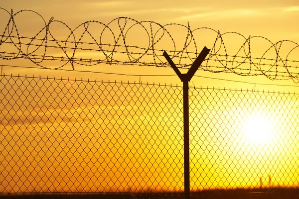 Barbed wire — Stock Photo, Image