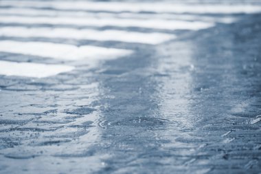 Zebra geçerken yağmur