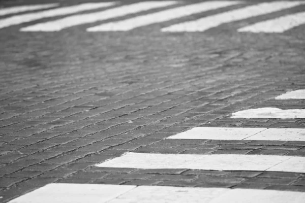 Zebra crossing in rain — Stock Photo, Image