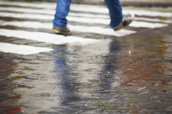 Zebra crossing in rain — Stock Photo, Image