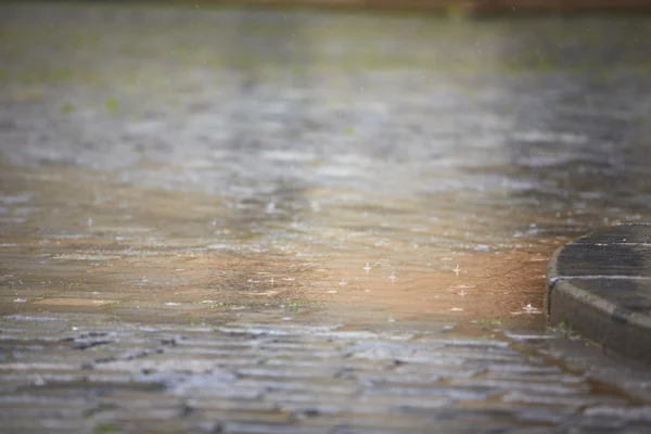 Zebra crossing in rain — Stock Photo, Image