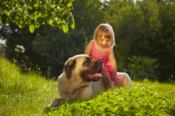 Meisje met hond — Stockfoto