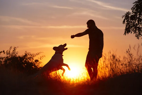 Homem com cão — Fotografia de Stock