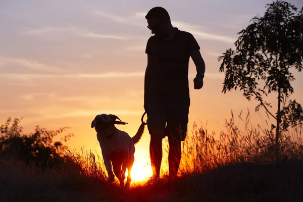 ชายกับสุนัข — ภาพถ่ายสต็อก