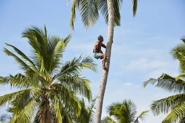 椰子的男人 — 图库照片