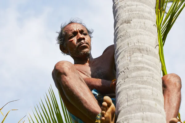 Coconut man — Stock Photo, Image