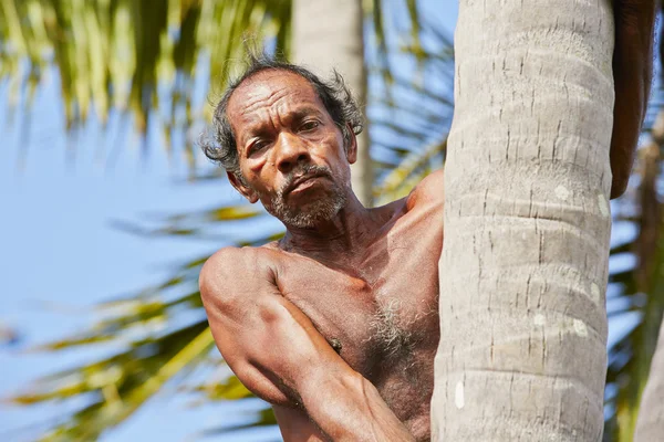 Człowiek kokosowe — Zdjęcie stockowe