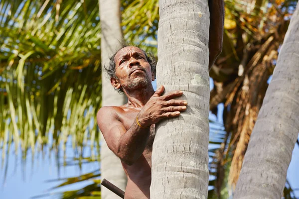 Homme de noix de coco — Photo