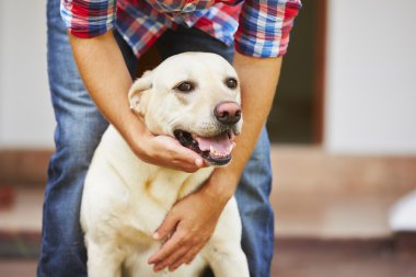 Köpekli bir adam.