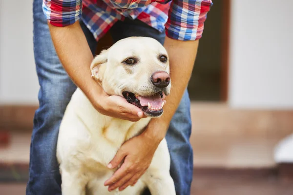 Hombre con su perro —  Fotos de Stock