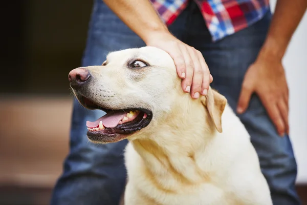 Homem com o seu cão — Fotografia de Stock