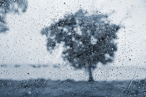 Regn — Stockfoto