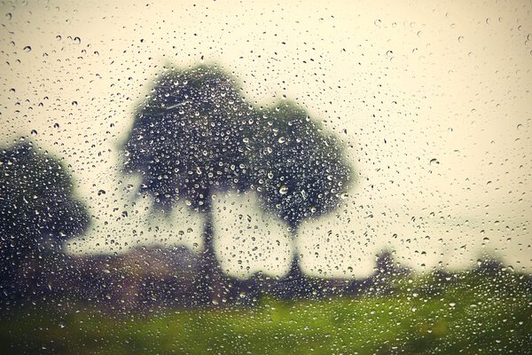 Rain — Stock Photo, Image