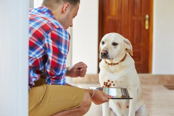 Hungry dog — Stock Photo, Image