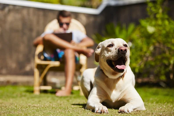 Relax on the garden — Stock Photo, Image