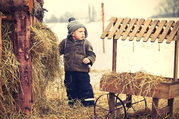 Boy on the farm — Stock Photo, Image