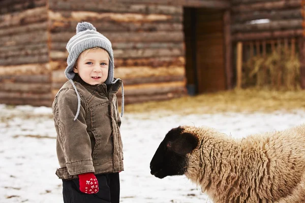 Мальчик на ферме — стоковое фото