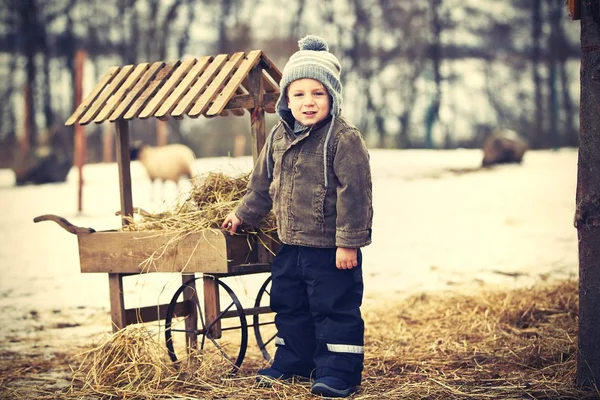 Chłopiec w gospodarstwie — Zdjęcie stockowe