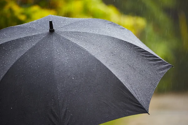 Chuva forte — Fotografia de Stock