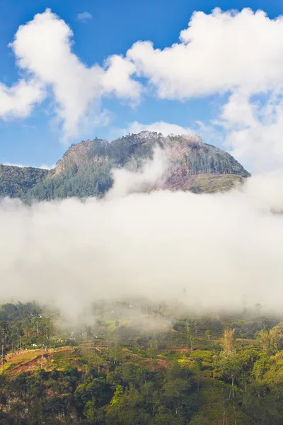 斯里兰卡的山区 — 图库照片