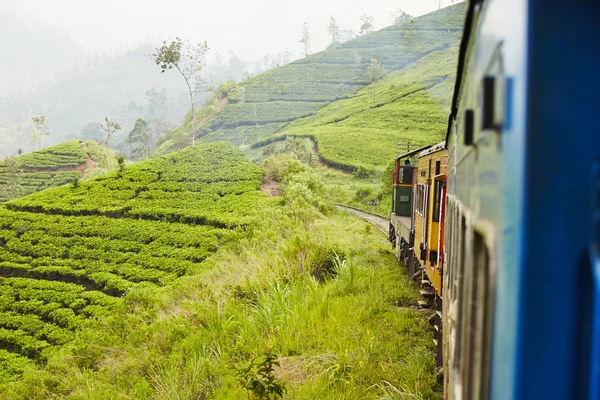 Tren en sri lanka —  Fotos de Stock