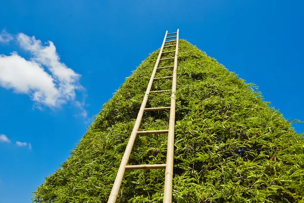 Escada para o céu — Fotografia de Stock