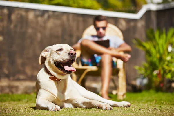 Relax on the garden — Stock Photo, Image