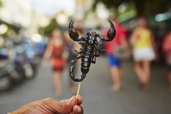 Scorpion rôti — Photo