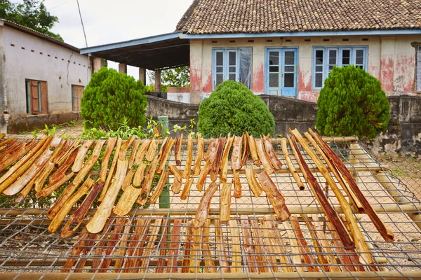 Cinnamon workshop — Stock Photo, Image