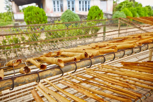 Cinnamon workshop — Stock Photo, Image