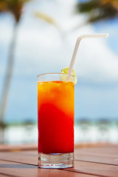 Beber na praia — Fotografia de Stock
