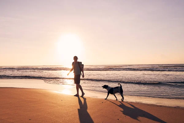 Silhueta Homem Jovem Durante Passeio Com Cão Praia Areia Belo — Fotografia de Stock