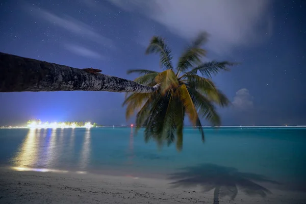 Одинокая Пальма Песчаном Пляже Против Ночного Неба Звездами Мальдивы — стоковое фото