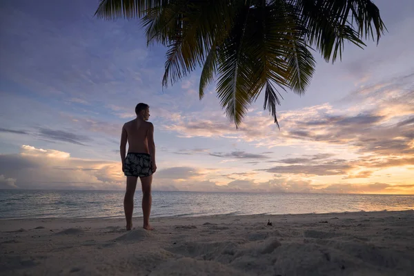 Rückansicht Eines Jungen Mannes Weißen Sandstrand Unter Palmen Touristin Badebekleidung — Stockfoto