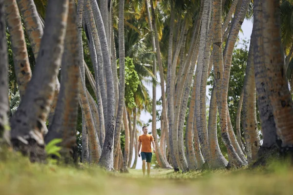 Young Man Walking Footpath Alley High Palm Trees — Stock Photo, Image