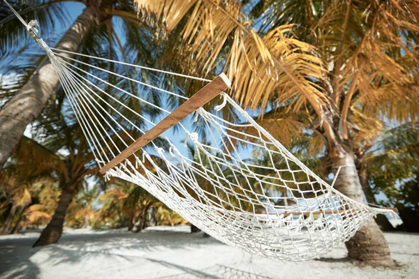 Hammock Hang Two Coconut Palm Trees White Sand Beach Themes — Fotografia de Stock