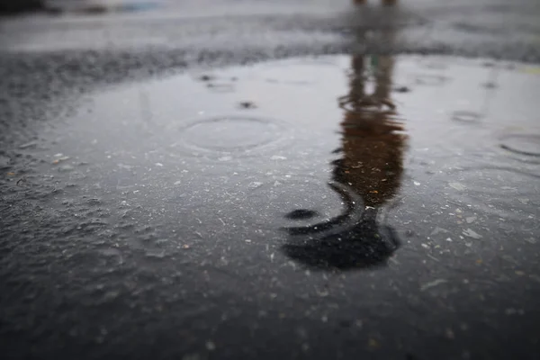 水坑里的雨滴 雨伞下人的倒影 — 图库照片