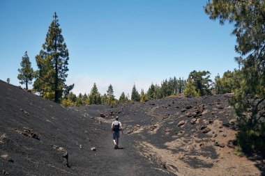 Traveler walking through volcanic landscape. Man with backpack on footpath near Chinyero Volcano. Tenerife, Canary Islands, Spain