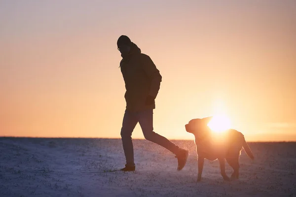 Silueta Del Hombre Con Perro Prado Nevado Propietario Mascotas Corriendo — Foto de Stock
