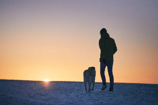 Silhouette Ember Kutyával Havas Réten Kisállat Tulajdonos Séta Labrador Retriever — Stock Fotó