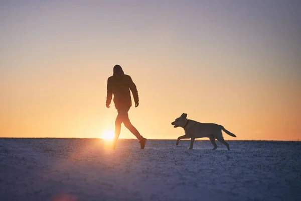 Silhouette Ember Kutyával Havas Réten Kisállat Tulajdonos Fut Labrador Retriever — Stock Fotó