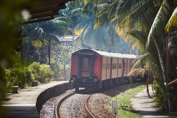 Railway Sri Lanka Red Train Leaving Railroad Station Palm Strees — Stock Photo, Image
