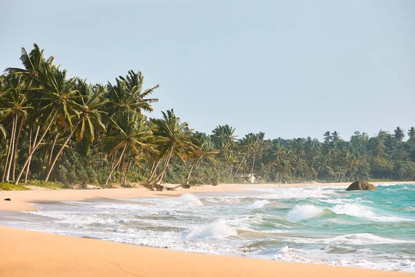 Bella Spiaggia Sabbia Con Palme Onde Oceaniche Sulla Costa Dello — Foto Stock