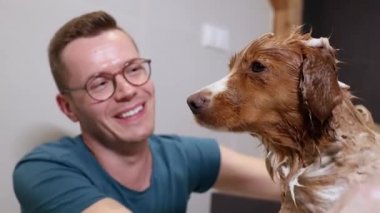 Köpek evde banyo yapıyor. Nova Scotia Duck Tolling Retriever banyosu. 4K çözünürlükte gerçek zamanlı